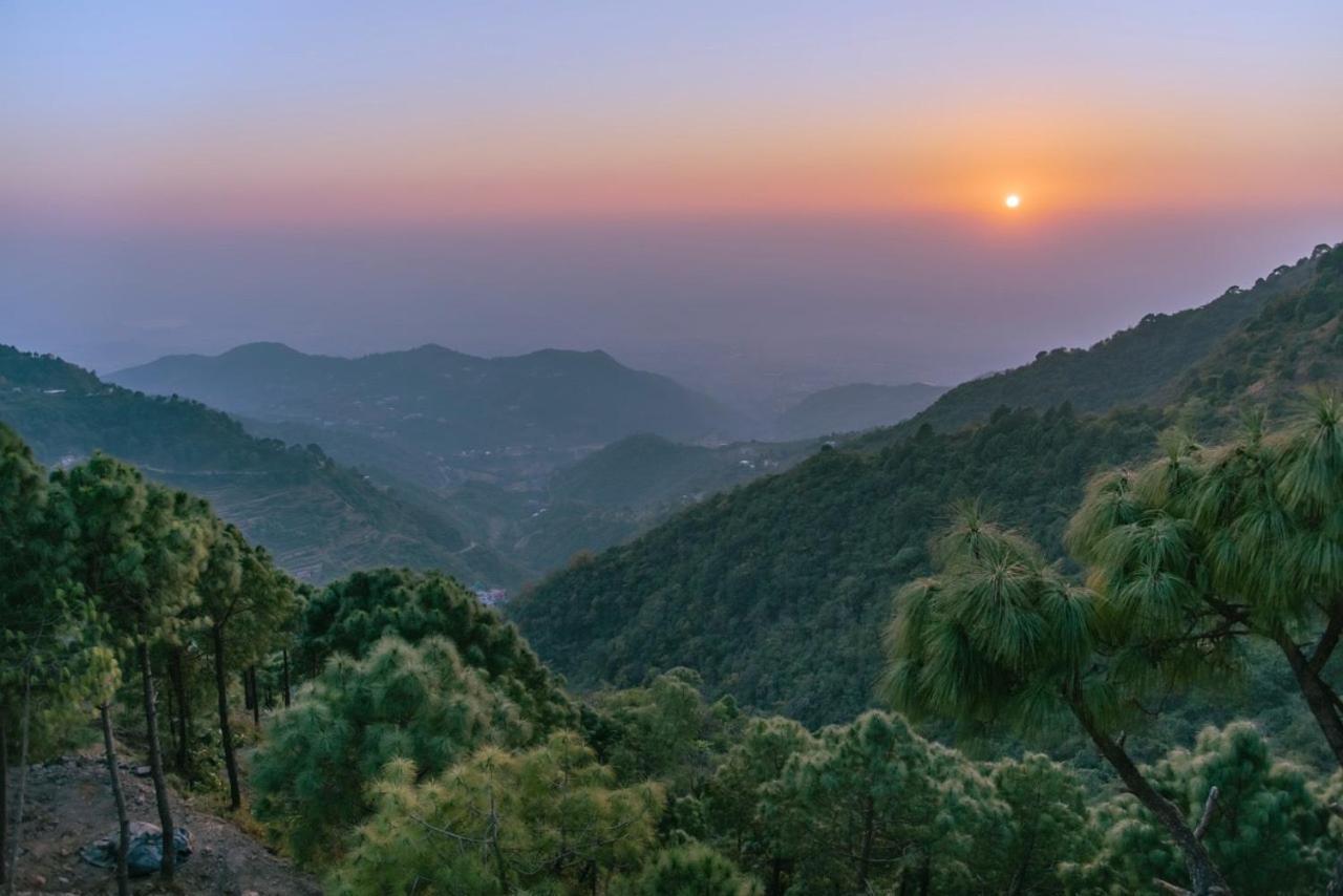 Panormic View By The North Edge Apartment Kasauli Ngoại thất bức ảnh